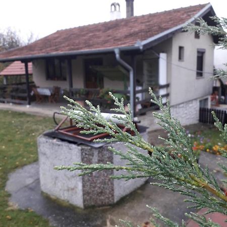 Galerija Jovanovic Topola Kültér fotó